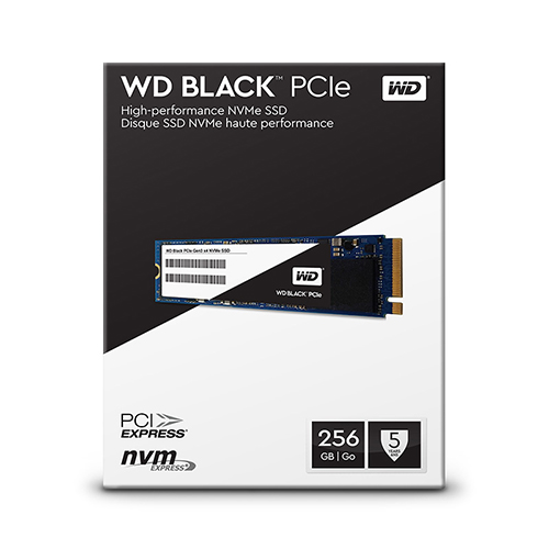 o-cung-ssd-256gb-western-nvme